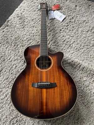 Tanglewood Acoustic New